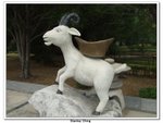九江,黃大仙_035