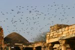 IMG_0070
