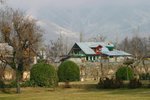 IMG_0654