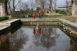 IMG_0683