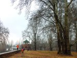 RIMG0054