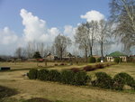 RIMG0103