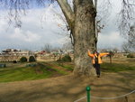 RIMG0111