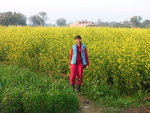 RIMG0178