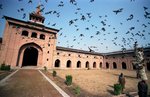 india217_resize