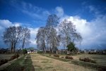 india538_resize