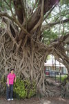DSC03718