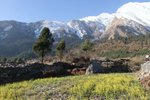 尼泊爾_0734