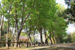 宏福東霸之旅_160