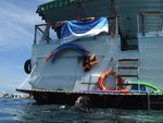 DSCF8063