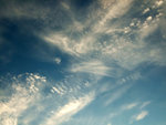 DSCF8109