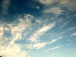 DSCF8110