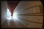 井崗山_008