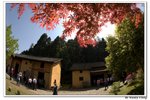 井崗山_069