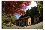 井崗山_070