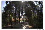 井崗山_132