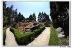 井崗山_133