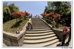 井崗山_139