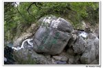 井崗山_227