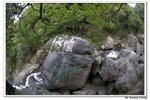 井崗山_228