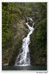井崗山_242