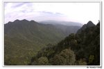 井崗山_309