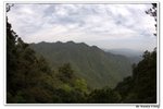 井崗山_313
