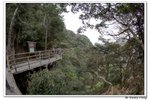 井崗山_314