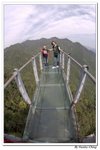 井崗山_317