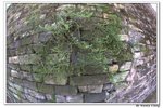 井崗山_587