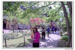 井崗山_023