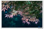 井崗山_034