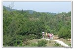 元荃古道_062