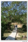 元荃古道_070
