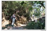 元荃古道_091