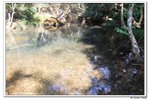 元荃古道_104