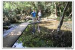 元荃古道_106
