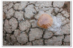 DSCF9580