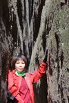 峎山_134