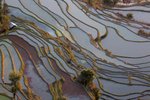 雲南_0016