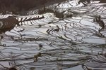 雲南_0017