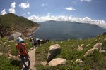 金魚尾北果洲_114
