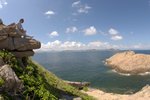 金魚尾北果洲_124