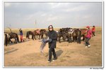 蒙古之旅_346