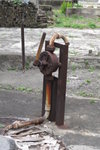 IMG_0280