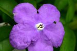 IMG_0761