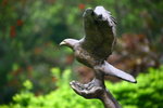 IMG_5565