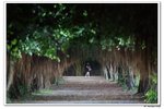 葵荷,_023