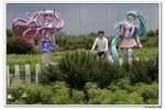 葵荷,_062