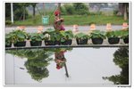葵荷,_125
